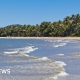 Người đàn ông thiệt mạng do cá mập tấn công ngoài khơi Queensland, Úc