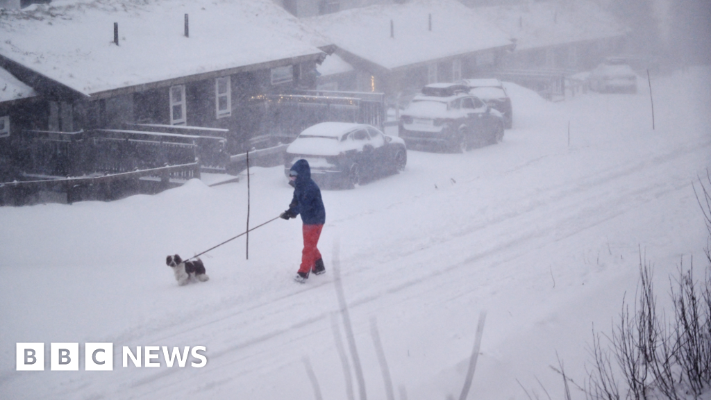 C&acirc;y cối đổ rạp do gi&oacute; mạnh sau b&atilde;o Johannes tại Thụy Điển